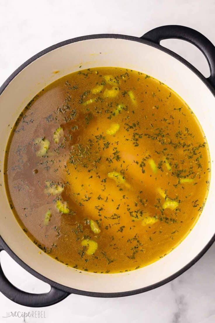 broth and other soup ingredients in large pot.
