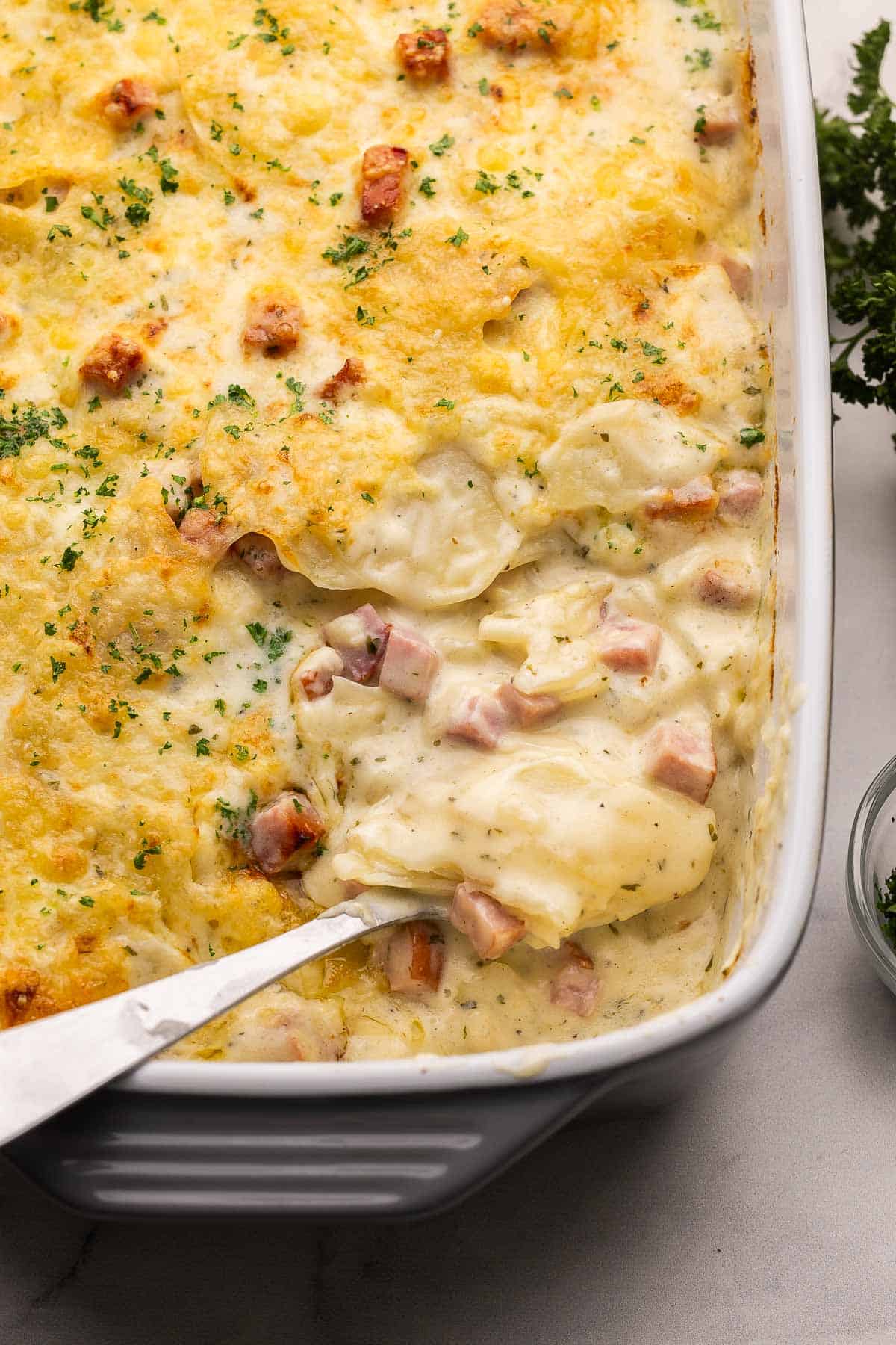 Scalloped Potatoes and Ham is a cheesy, creamy potato casserole made with layers of potatoes and ham cooked in a creamy white sauce. It's a comforting side dish perfect for a holiday meal or Sunday dinner! #dinner #recipe | potatoes | potato recipe | casserole recipe | holiday side dish | side dishes | comfort food large spoon scooping scalloped potatoes out of pan.