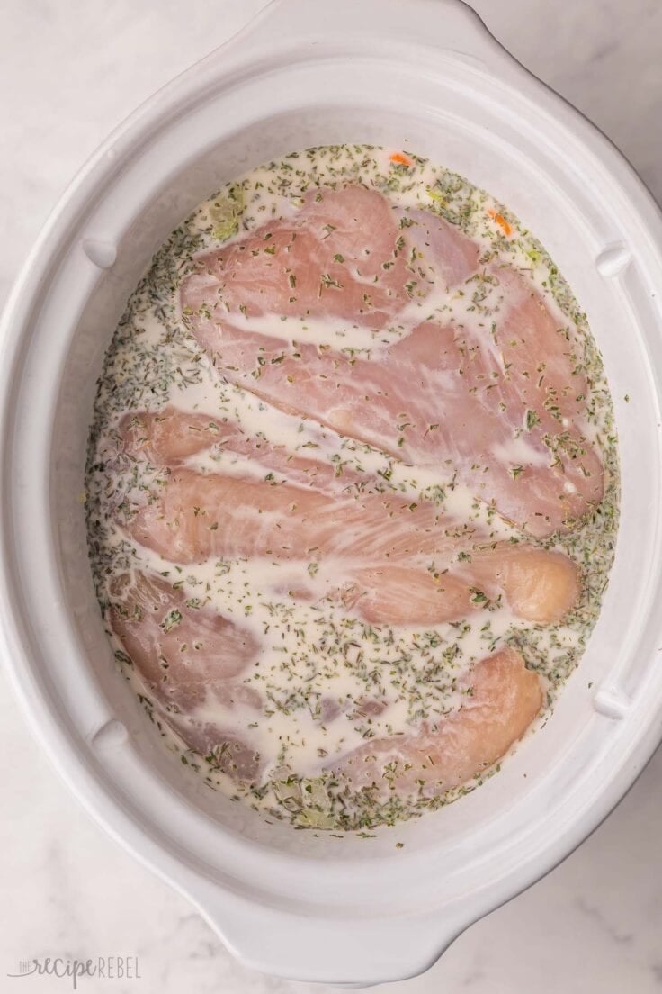 chicken breasts added to other ingredients in slow cooker.