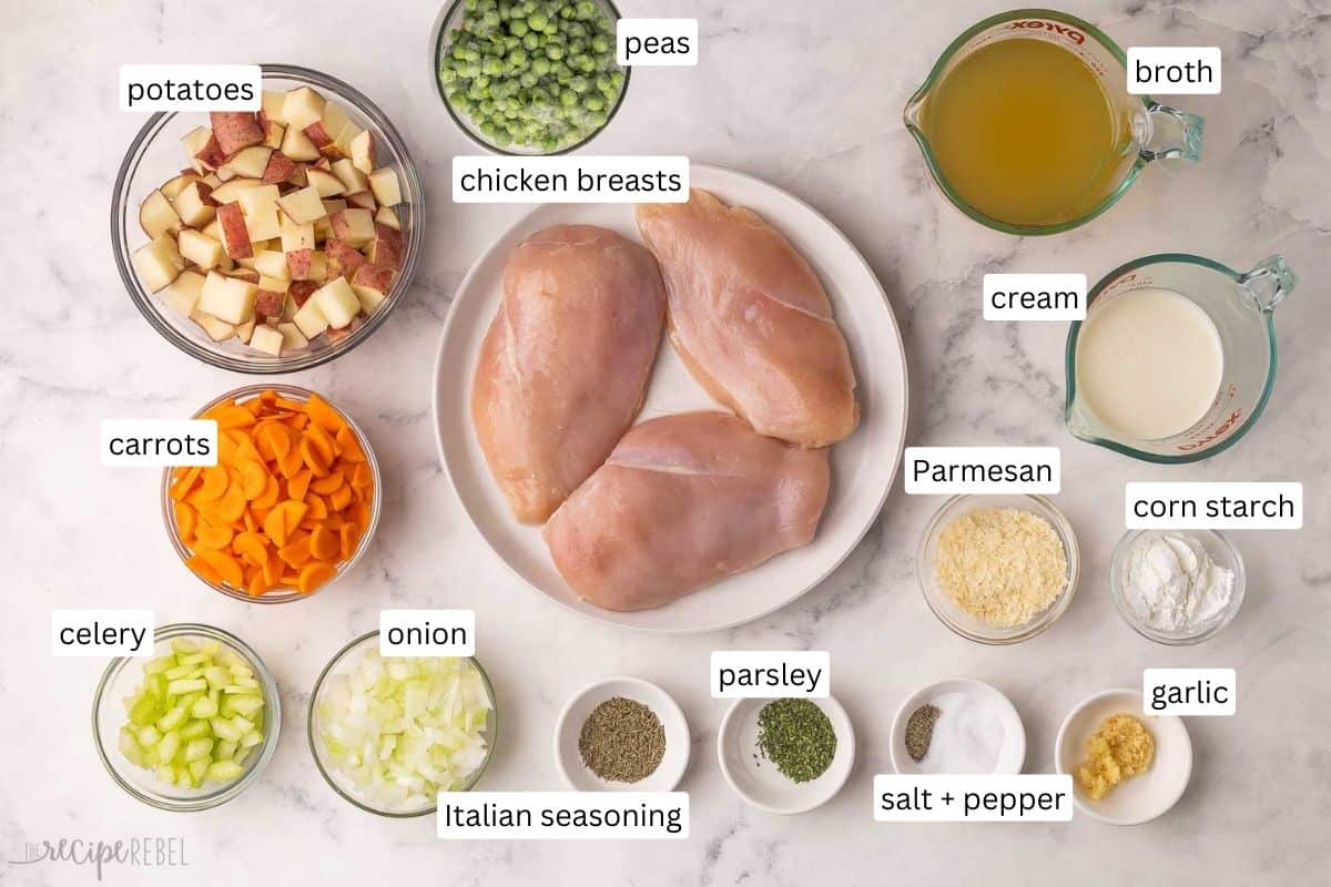 This Slow Cooker Garlic Parmesan Chicken Stew is made with chicken breasts, tender potatoes and vegetables, all simmered in a cheesy, creamy broth! It's the perfect easy crockpot meal to warm you up on a chilly day. #crockpot #slowcooker #dinner | soup recipe | healthy dinner | dinner ideas | chicken dinner ideas | chicken breast | comfort food ingredients needed for slow cooker garlic parmesan chicken stew in bowls and plate.